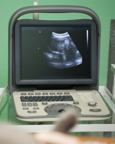 Veterinary Ultrasound