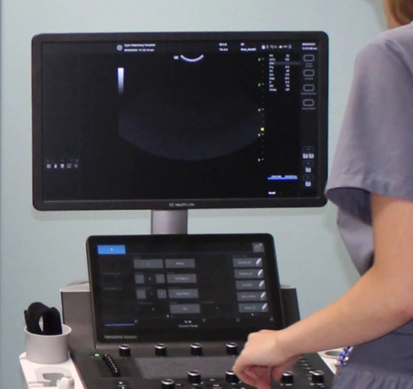 Pet Ultrasound